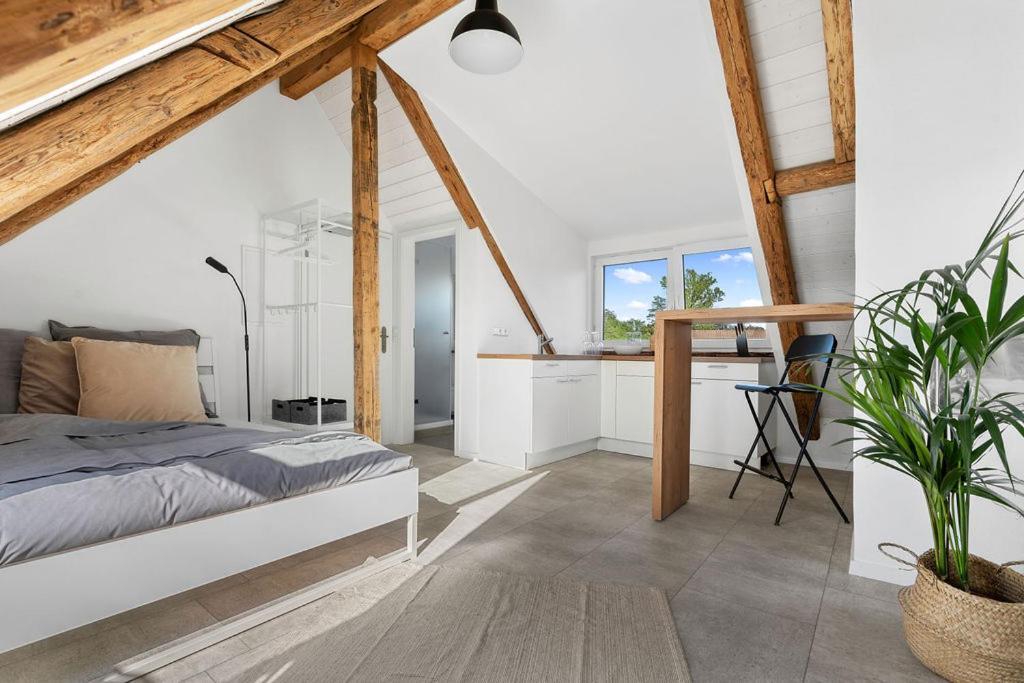 Second Home - Ferienwohnungen Fischbach FDH Dış mekan fotoğraf